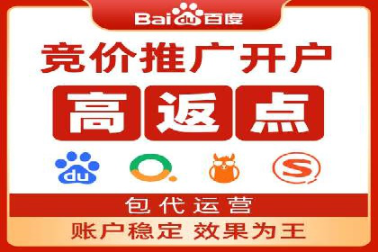 SEM推广案例：竞价代运营实战解析